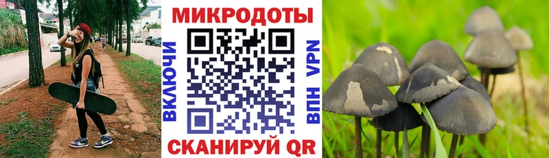 Галлюциногенные грибы Magic Shrooms  сколько стоит  Морозовск 